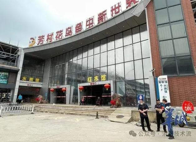 1719999291289776.png image.png